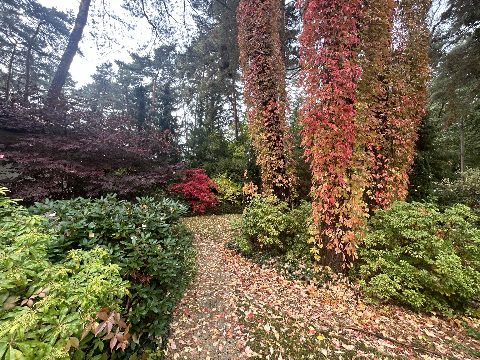 Garden in an autumn setting
