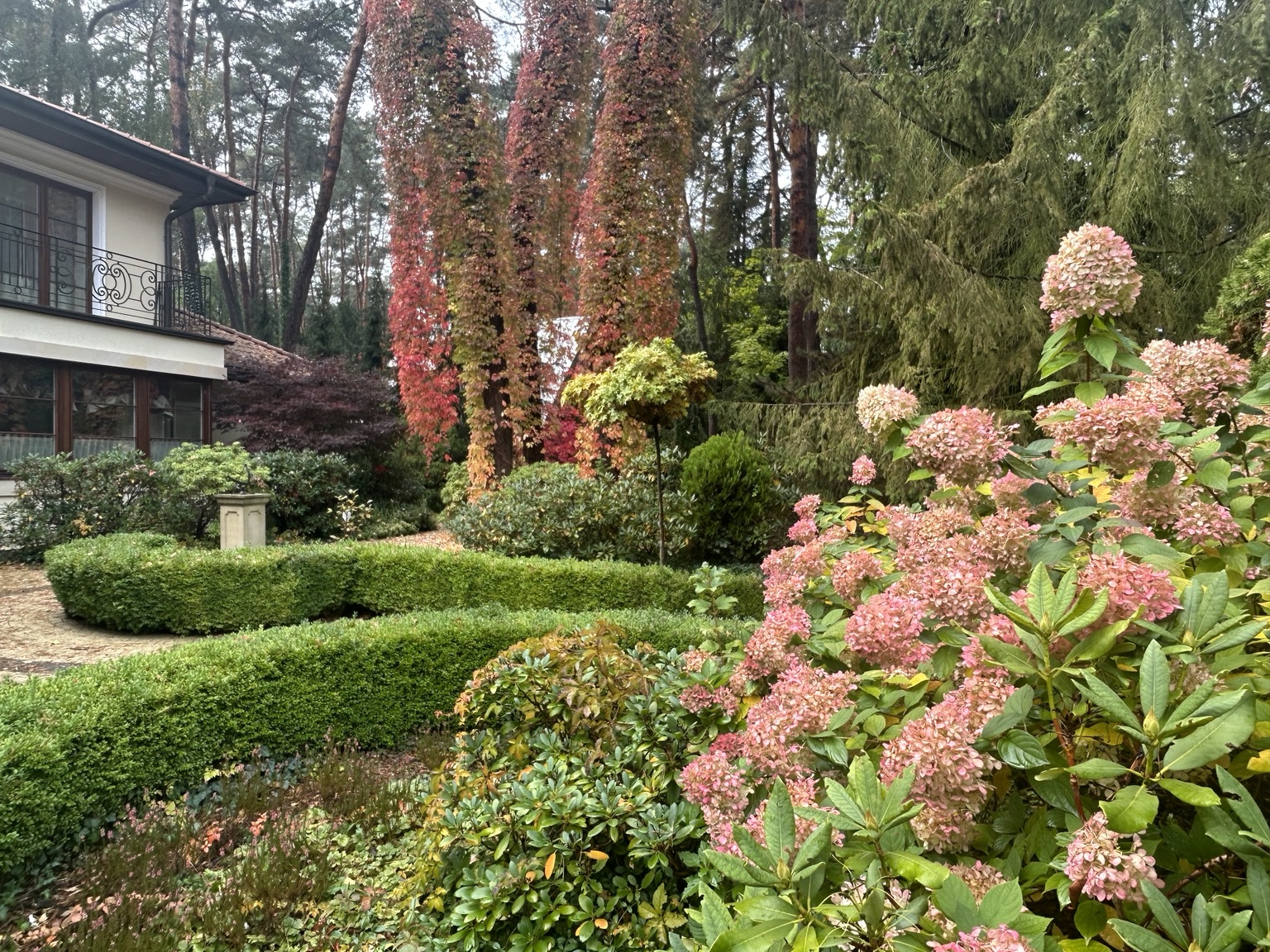 Forest path in the residence garden